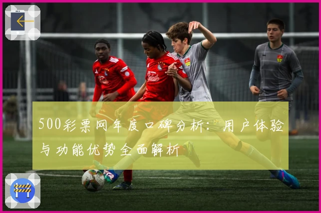 500彩票网年度口碑分析:用户体验与功能优势全面解析
